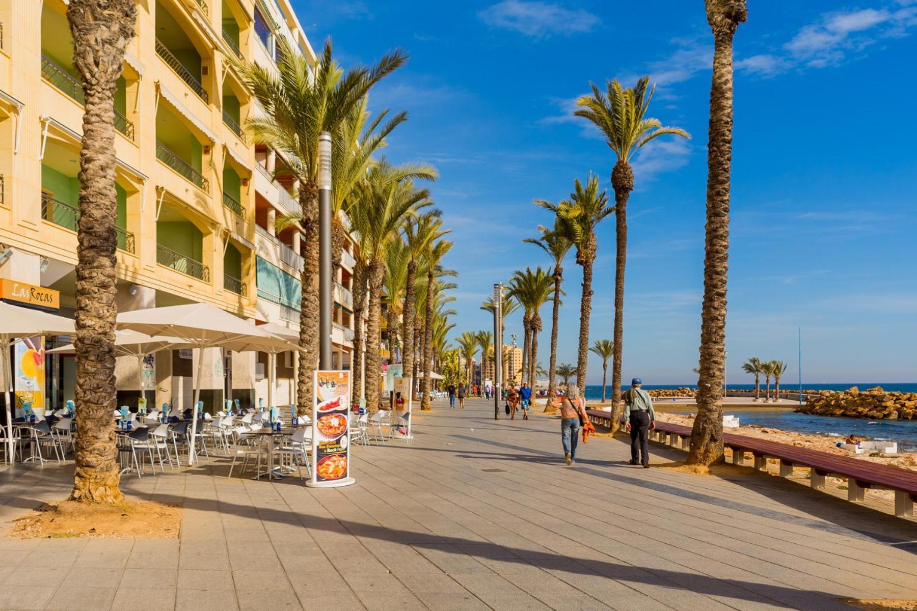 Apartment Alegria Id45 Torrevieja